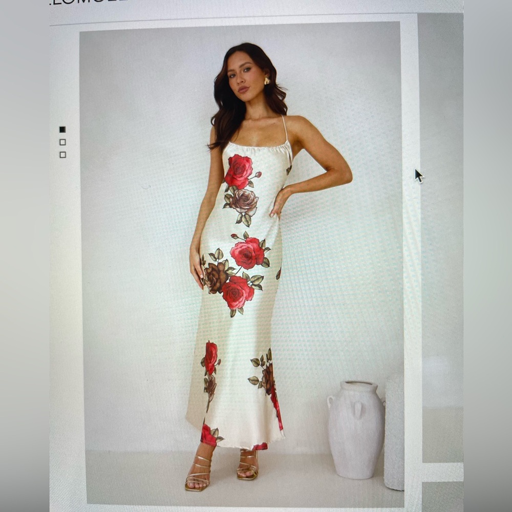Hello Molly- NWOT- Rose between thorns satin maxi dress, beige, size medium